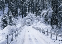 冬至大如年，大族粵銘集團祝您冬至快樂！